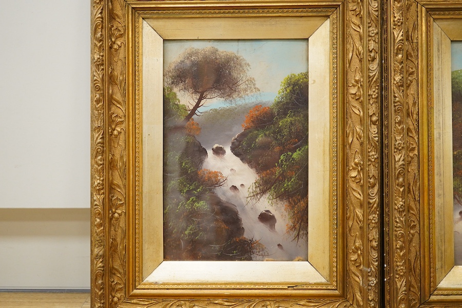 20th century school, pair of gouaches, Waterfalls, 30 x 19cm, housed in ornate gilt frames. Condition - good